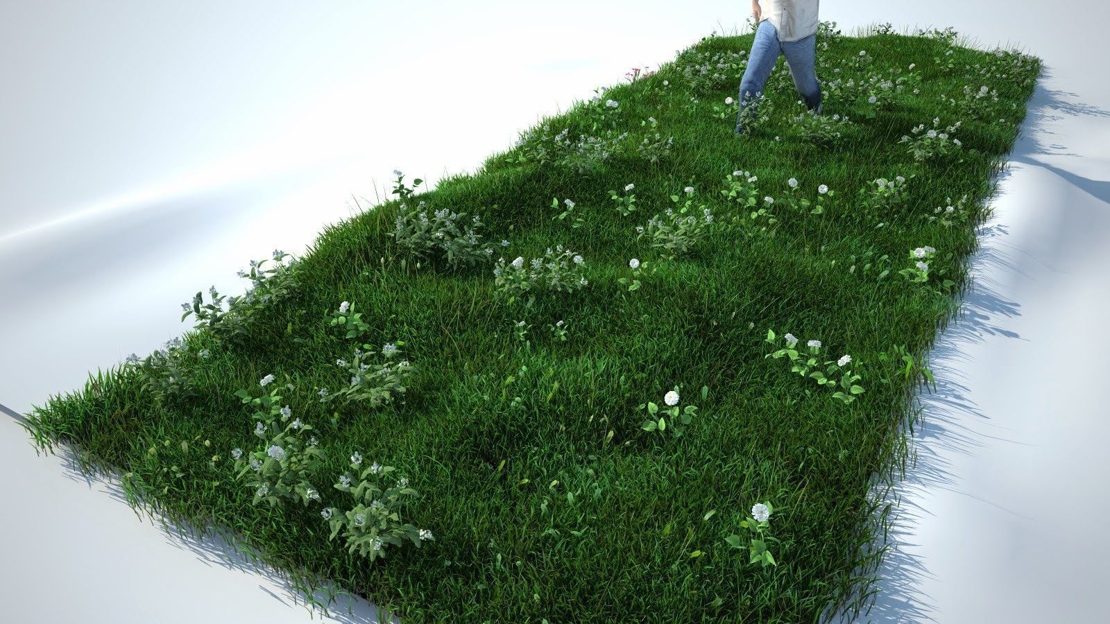 Grass Kit V2 for CInema 4D and Vray Free 3D model_3