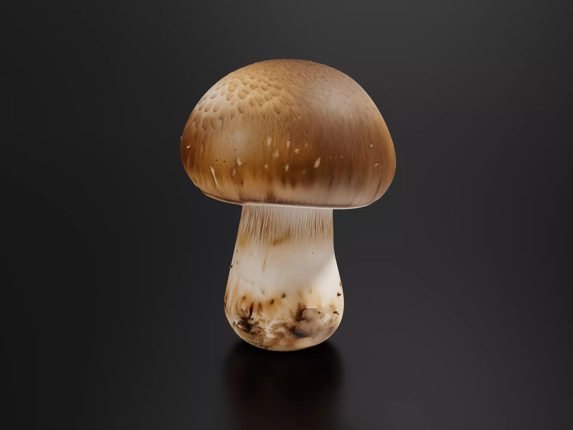 fresh Mushroom 02 3D print model