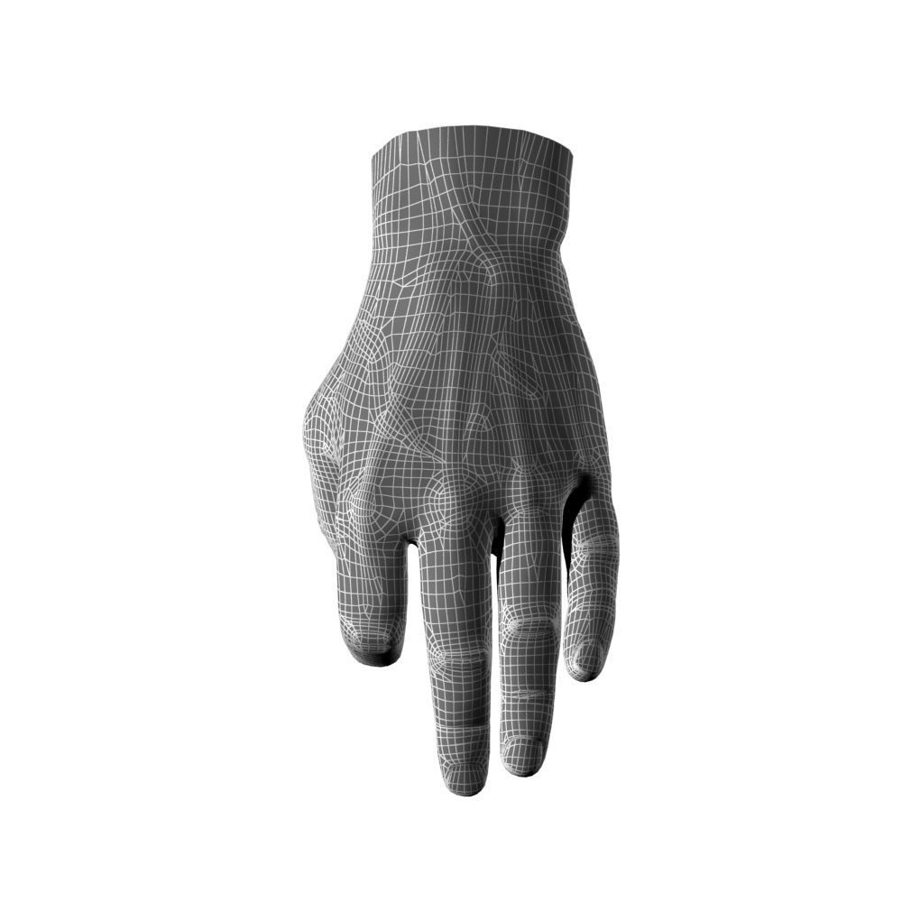 Hand Model OK 3D model_5