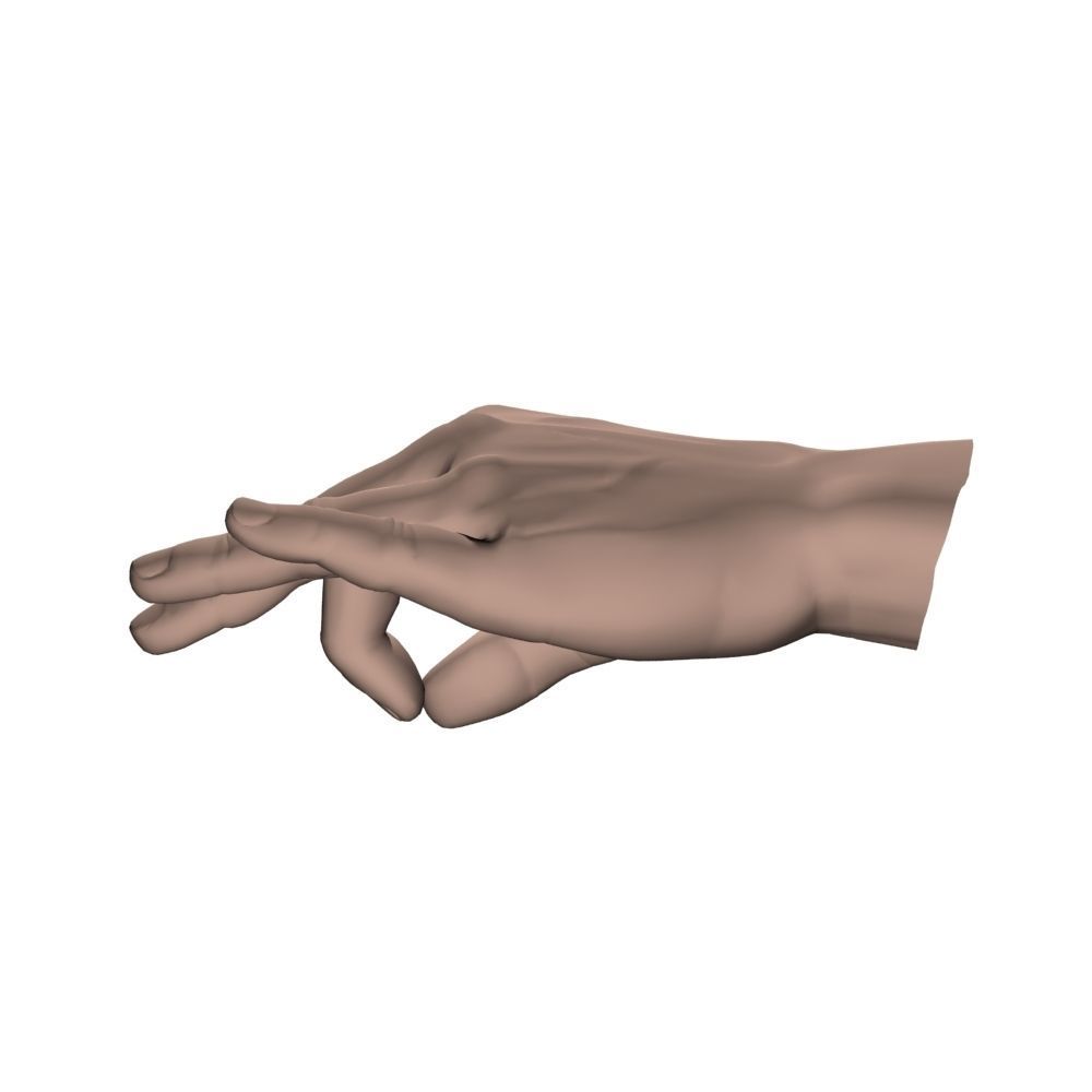 Hand Model OK 3D model_4