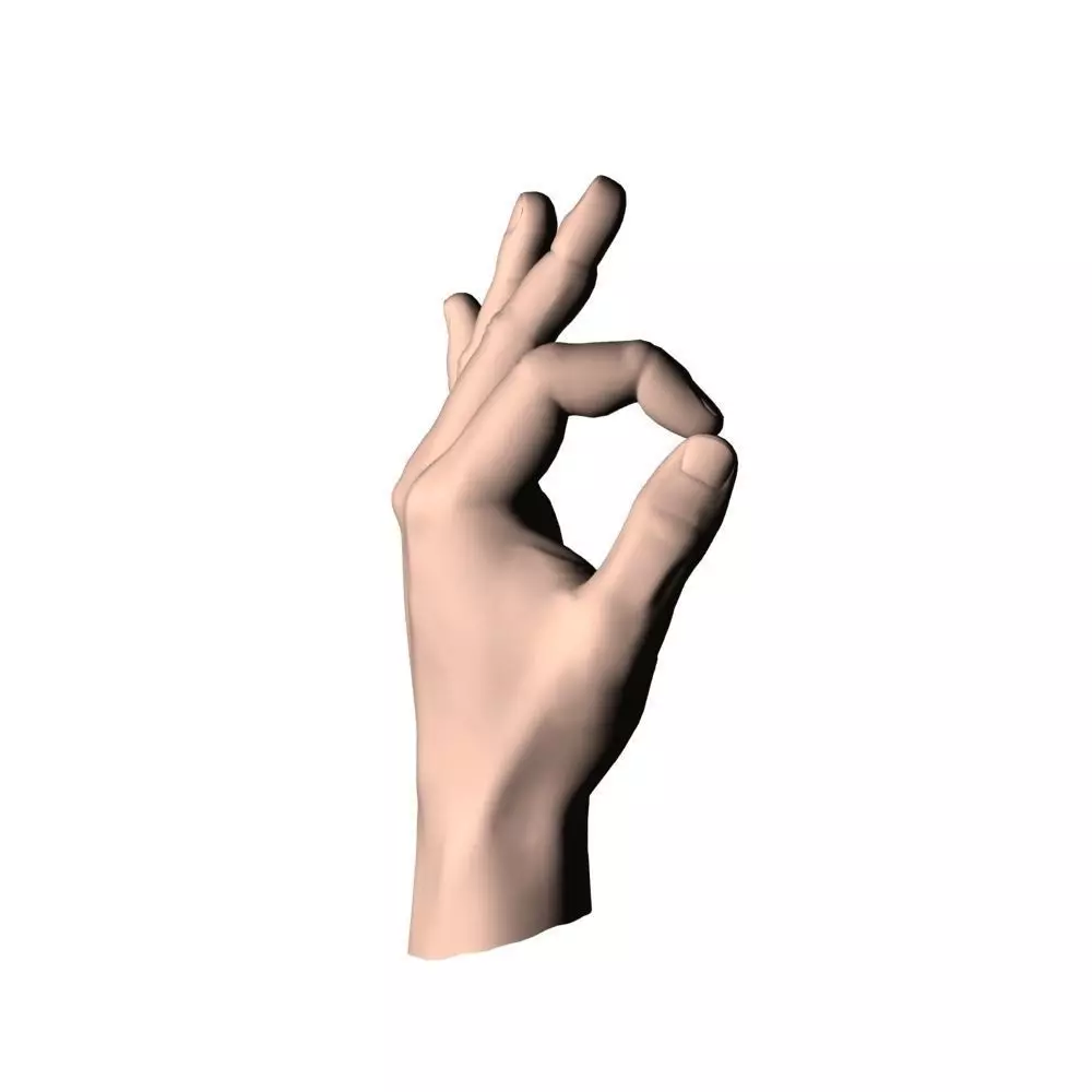 Hand Model OK 3D model_0