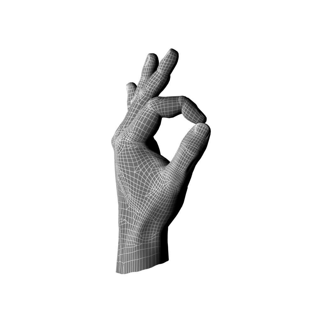 Hand Model OK 3D model_6
