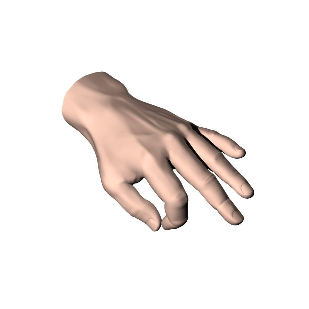 Hand Model OK 3D model_1