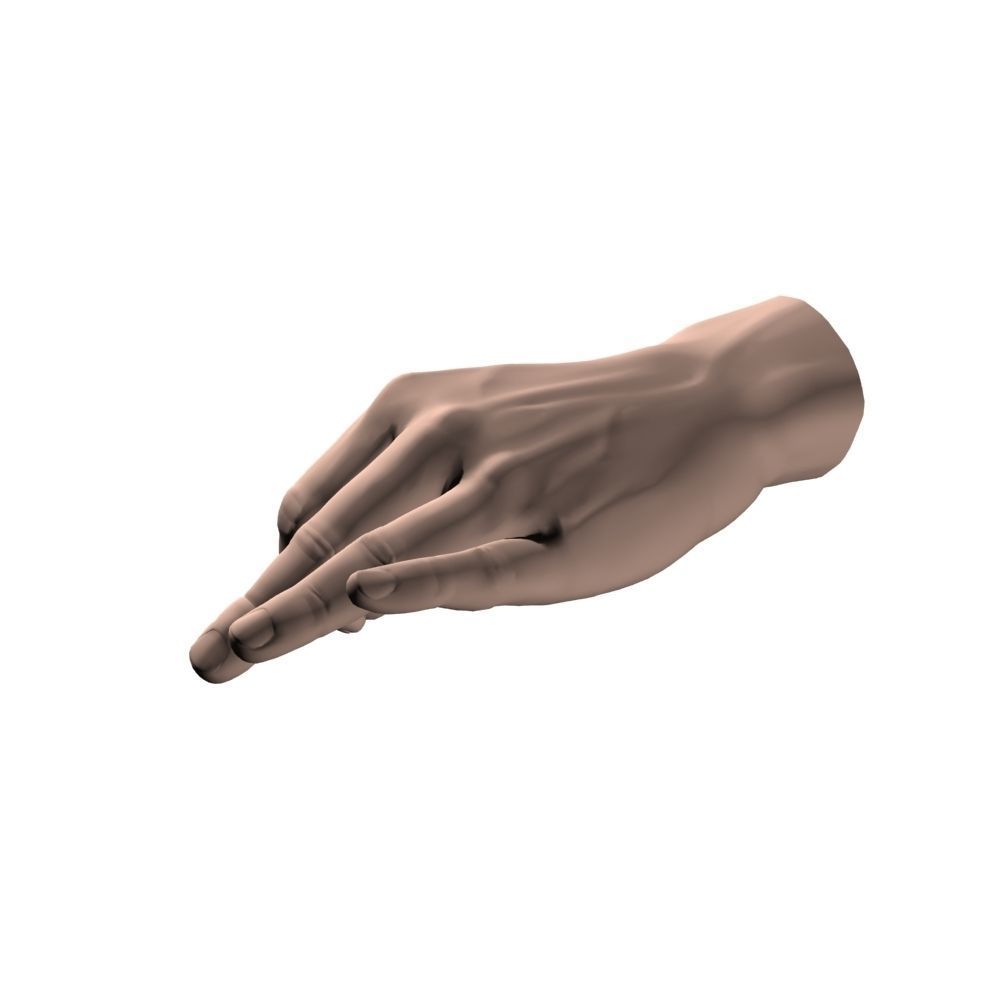 Hand Model OK 3D model_2