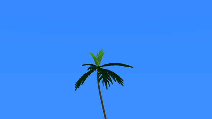 coconut tree lowpoly