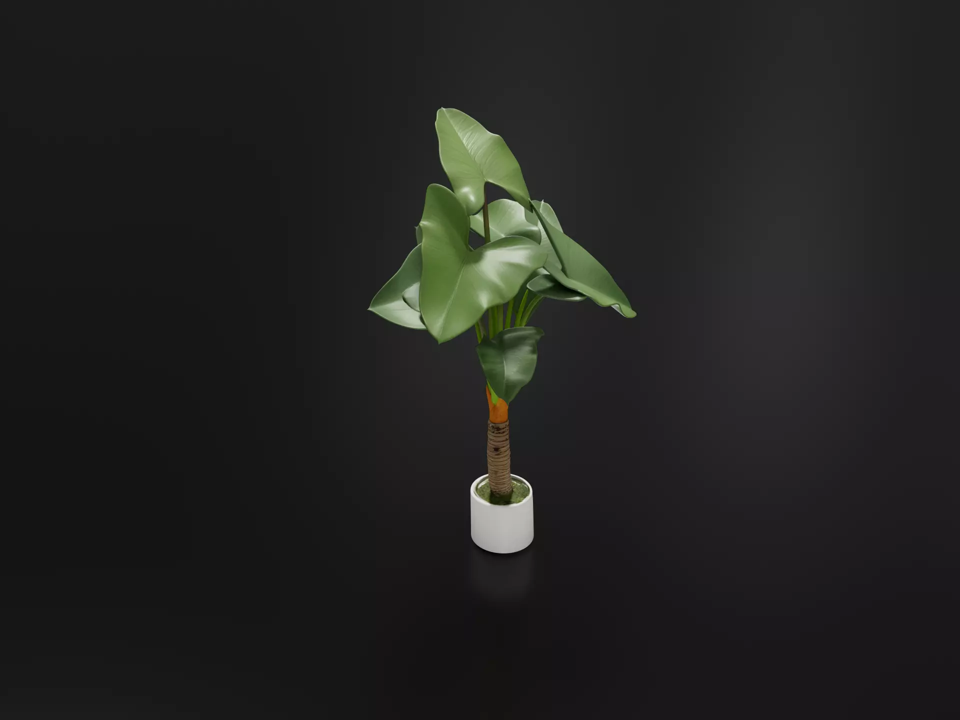 Arrowhead Philodendron 01 3D print model