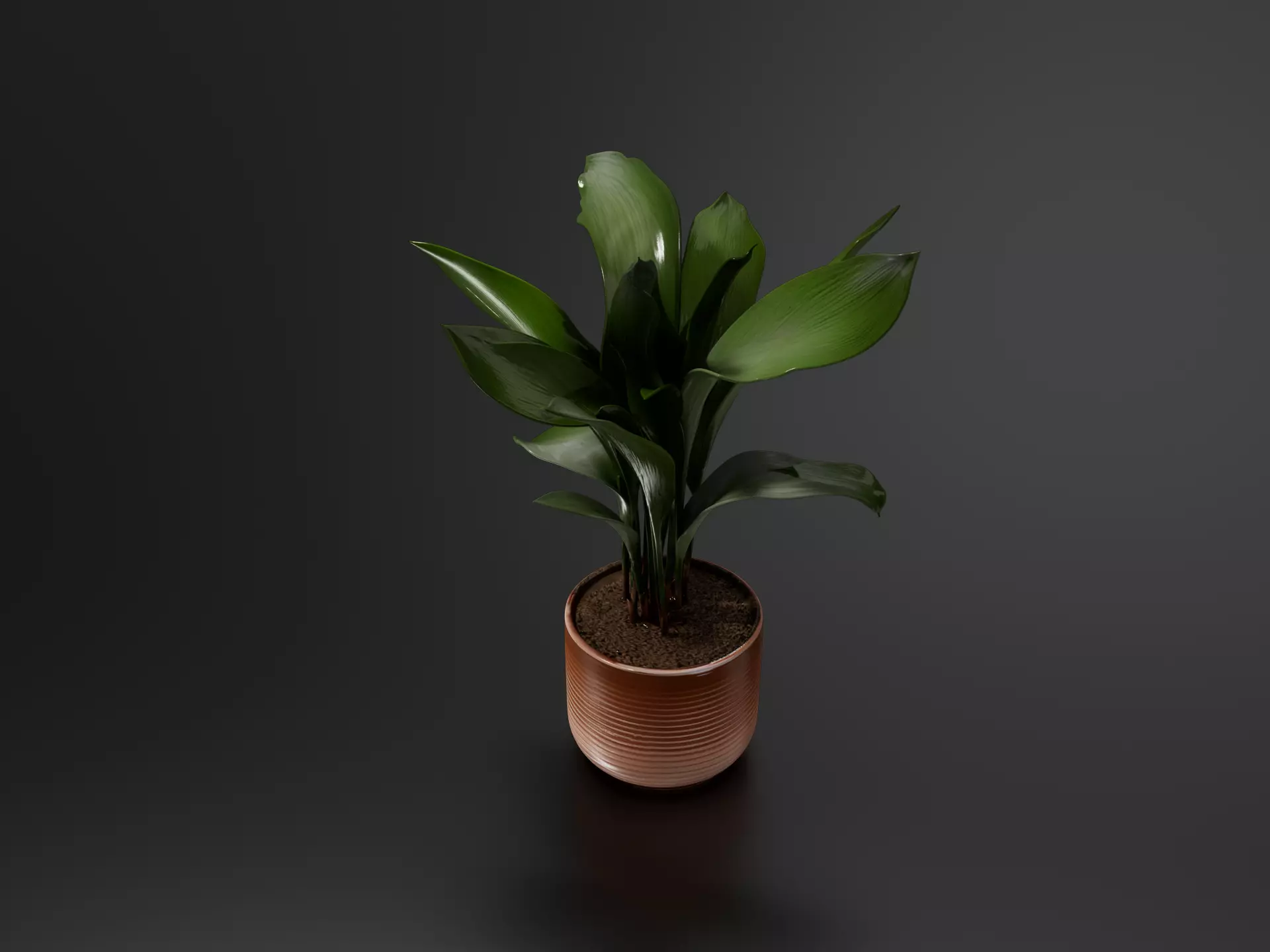Aspidistra Plant Pot 3D print model