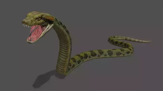 Anaconda Stylized Animated 3D Model