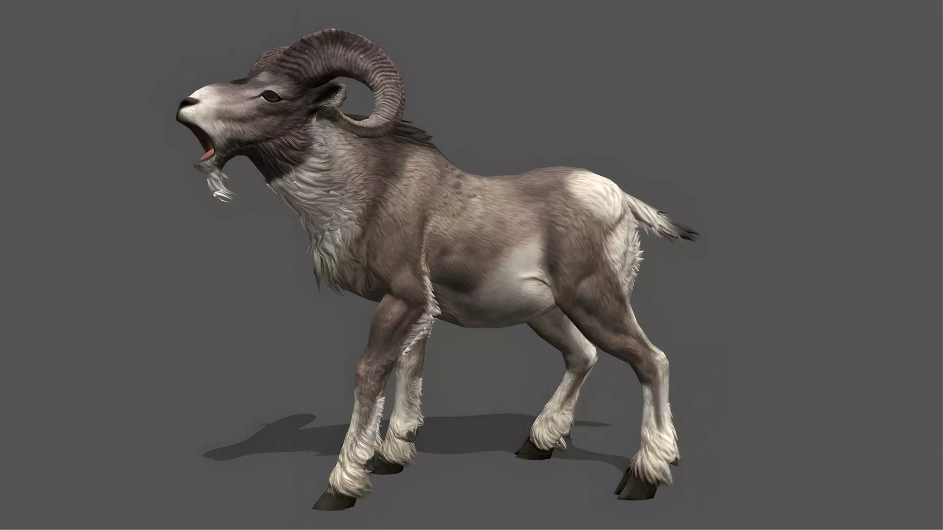 Bighorn Stylized Animated 3D Model Low-poly 3D model