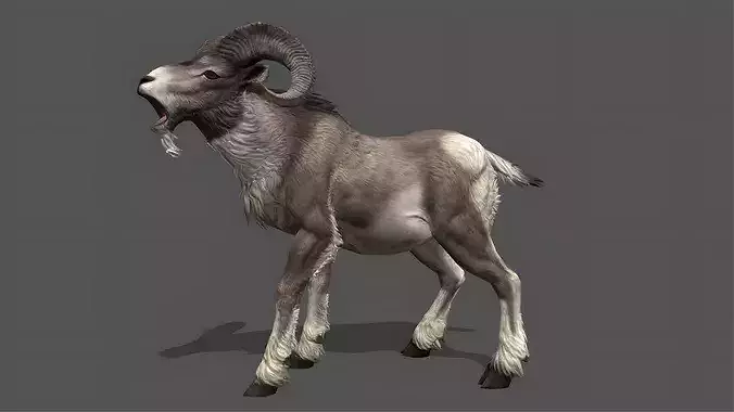 Bighorn Stylized Animated 3D Model