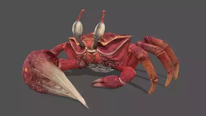 Crab Stylized Animated 3D Model