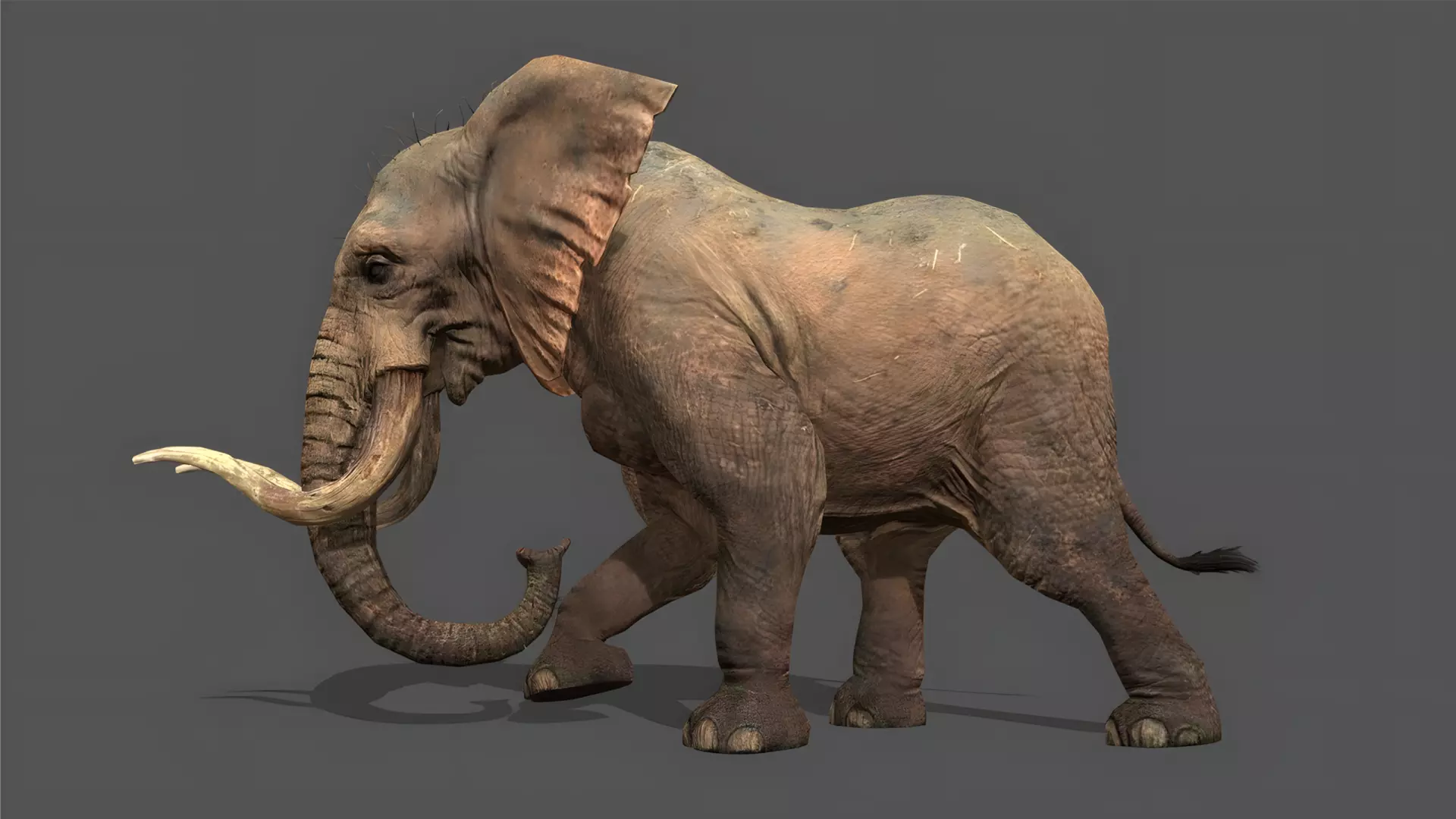 Elephant Stylized Animated 3D Model Low-poly 3D model