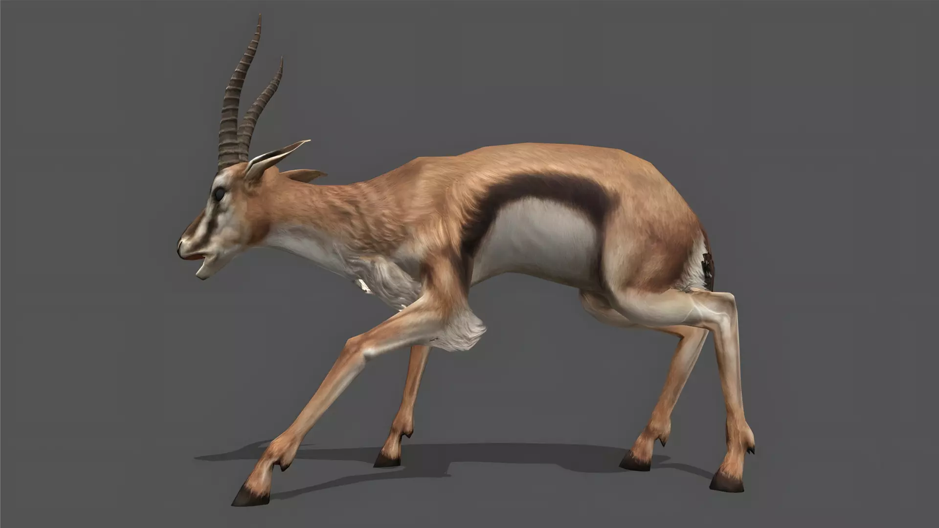 Gazelle Stylized Animated 3D Model Low-poly 3D model