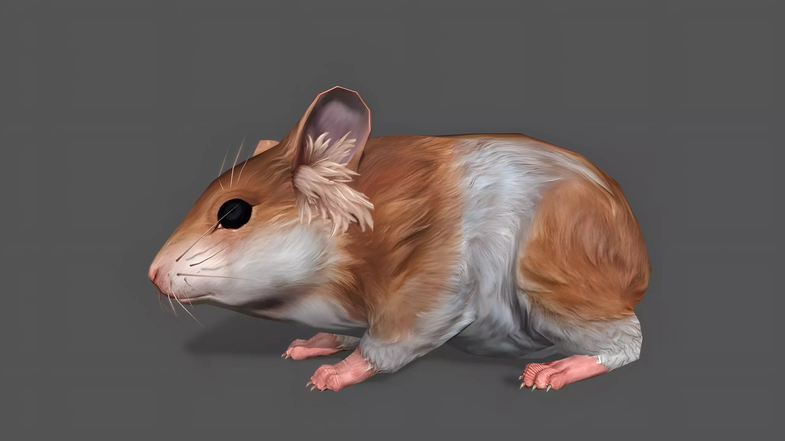 Hamster Stylized Animated 3D Model Low-poly 3D model