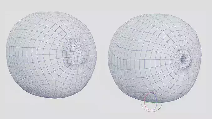 Kiwi Fruit Photogrammetry 3D Scan - Mid and Low Poly Low-poly 3D model 7