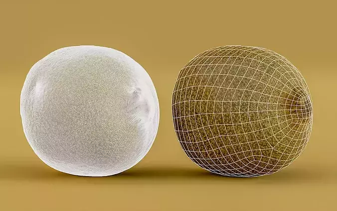 Kiwi Fruit Photogrammetry 3D Scan - Mid and Low Poly Low-poly 3D model 2