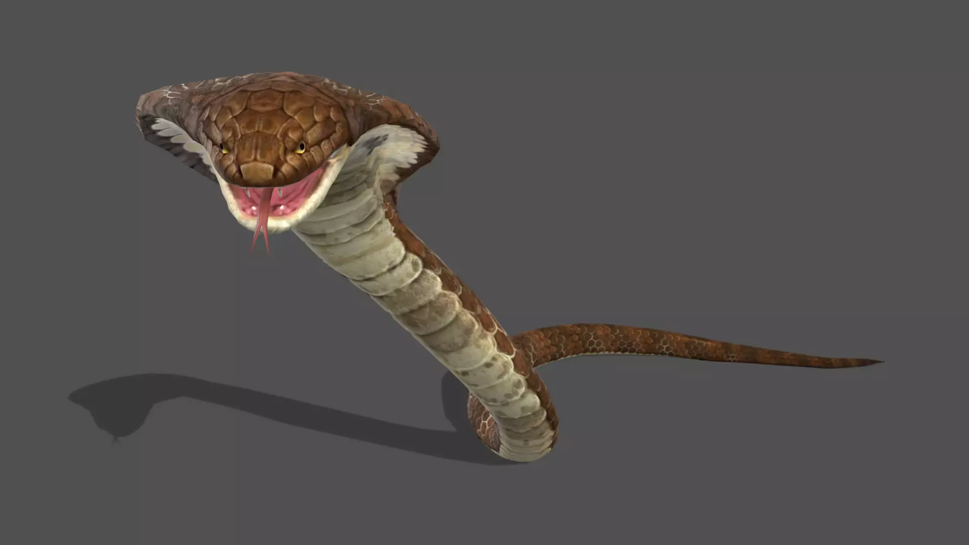 King Cobra Stylized Animated 3D Model Low-poly 3D model
