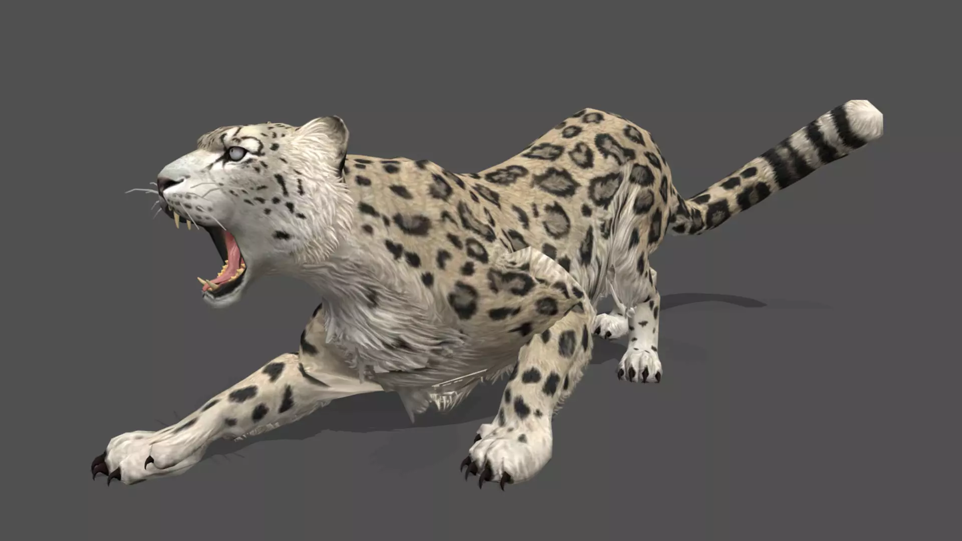 Leopard Stylized Animated 3D Model Low-poly 3D model