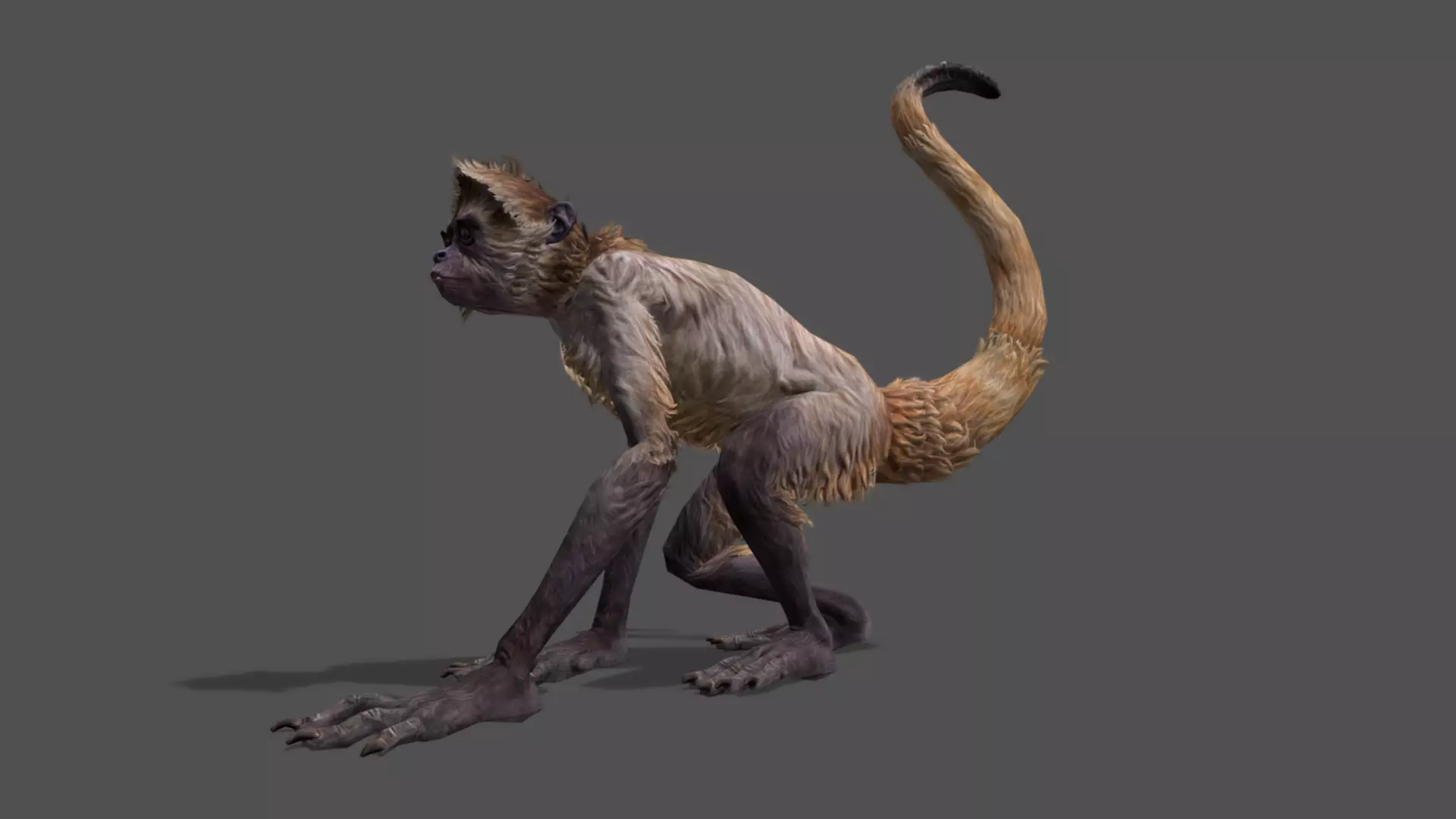 Monkey Stylized Animated 3D Model Low-poly 3D model