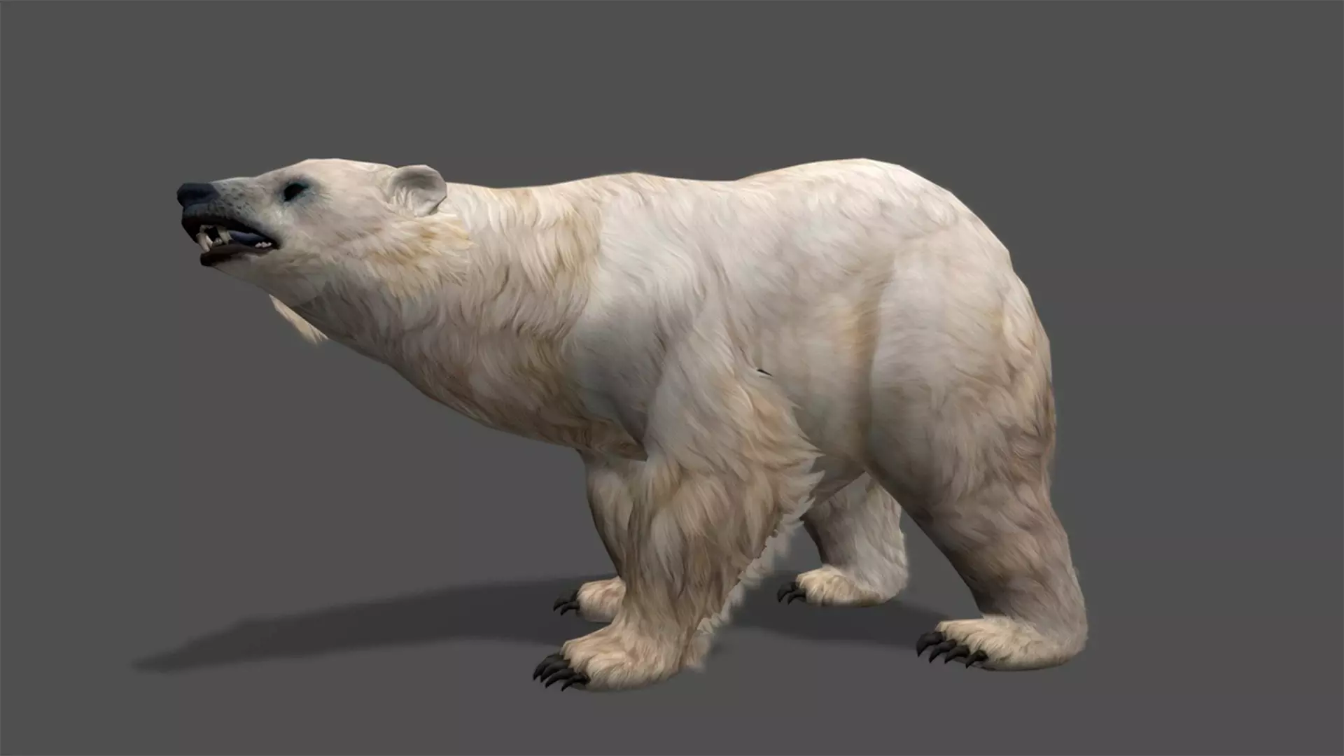 Polar Bear Stylized Animated 3D Model Low-poly 3D model