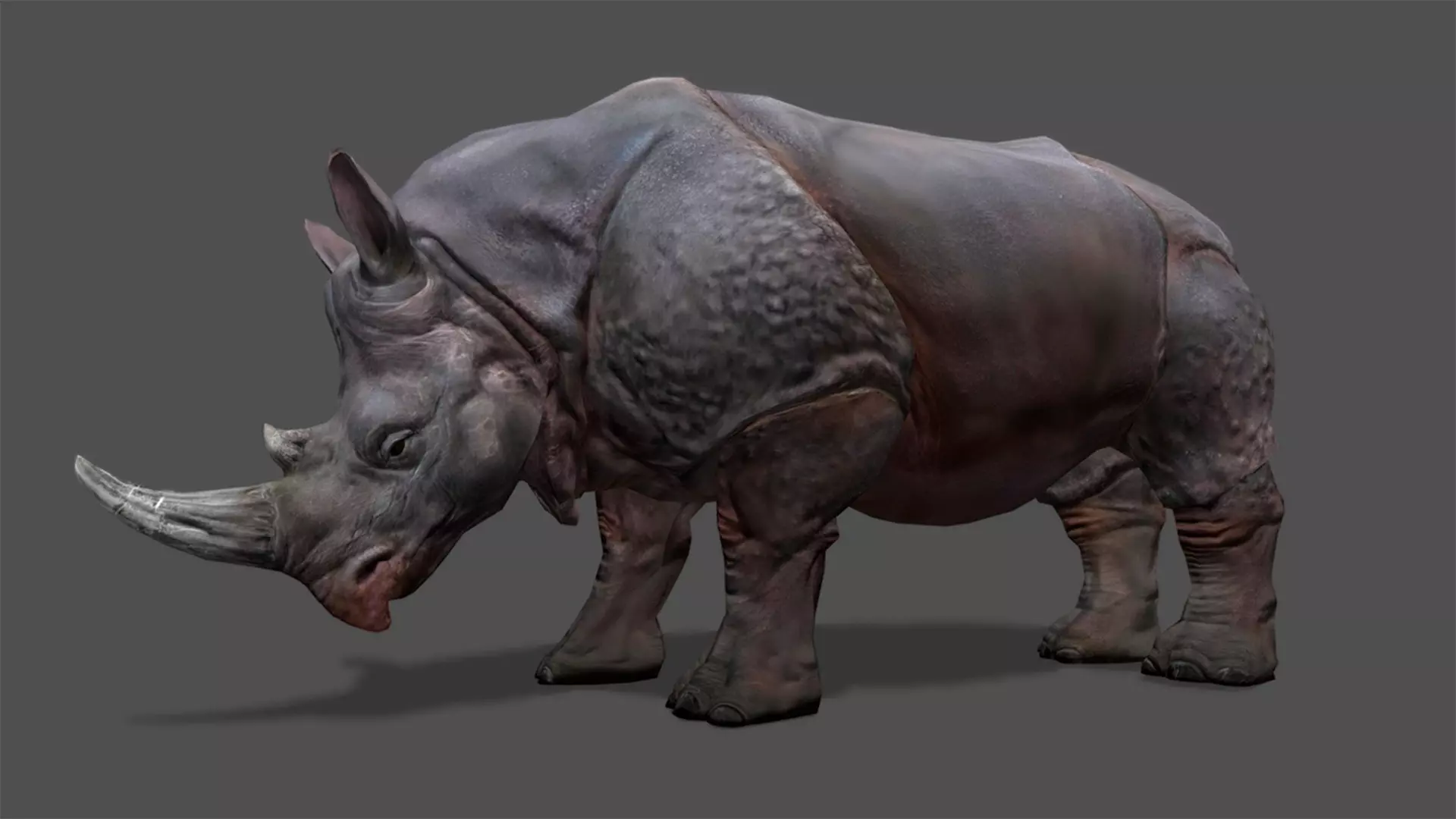 Rhino Stylized Animated 3D Model Low-poly 3D model