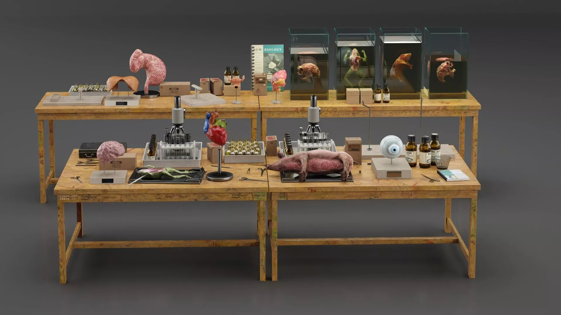 Biological Specimen Laboratory Equipment 3D model