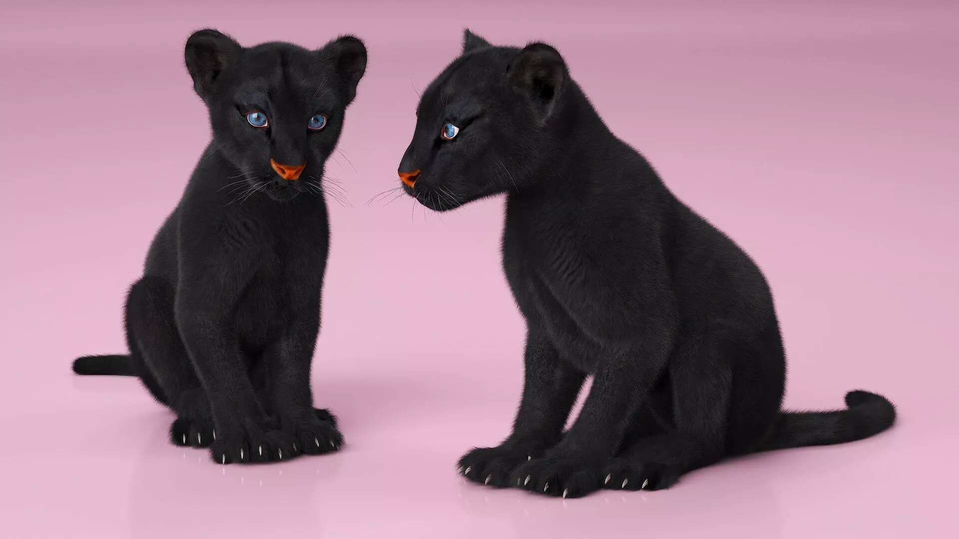 Black Panther Cub with Fur for Cinema 4D Rigged 3D model
