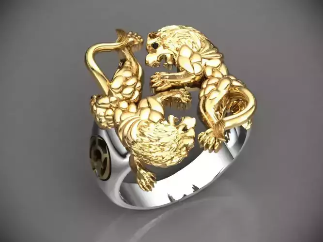 Lion Fight Ring