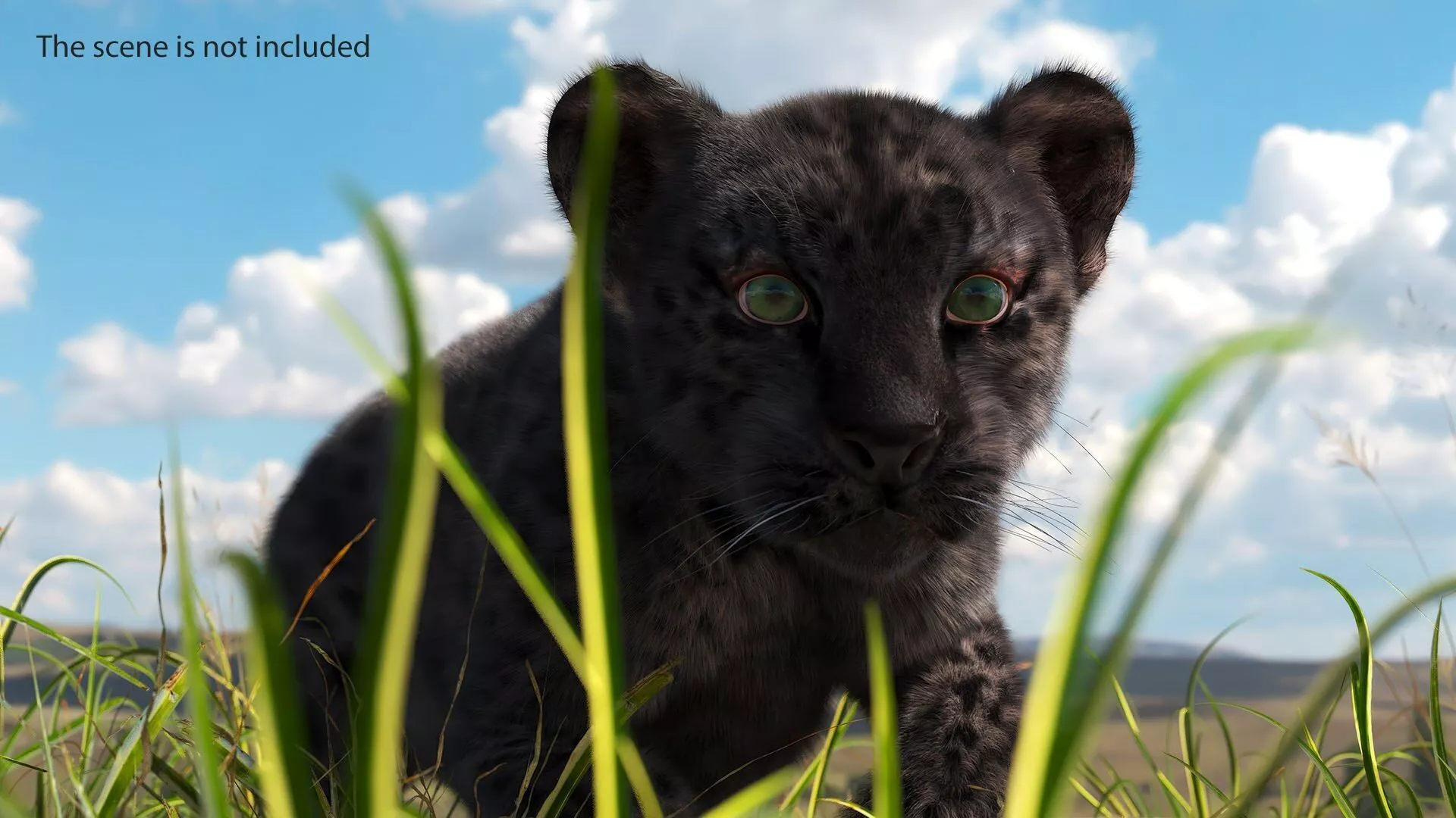 Black Leopard Cub with Fur for Cinema 4D Rigged 3D model