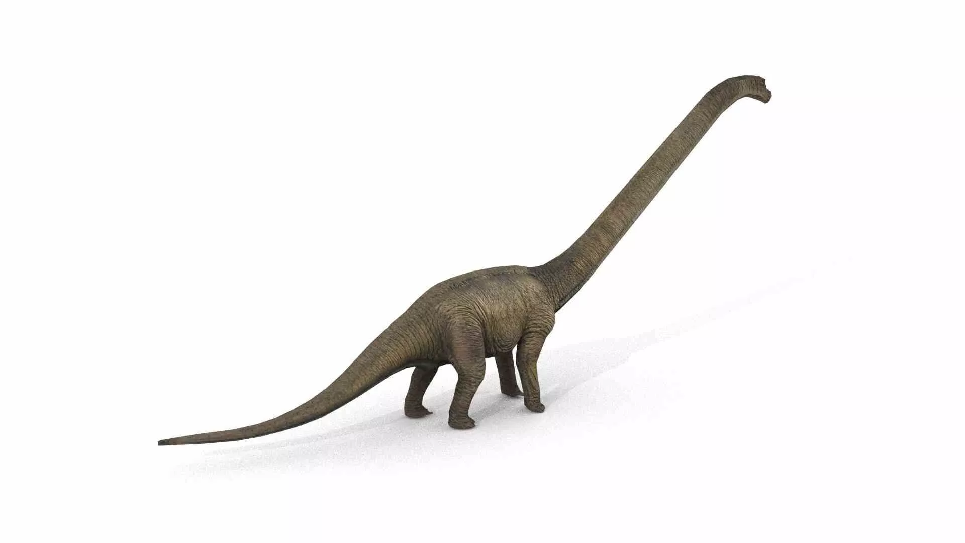 Diplodocus Low-poly 3D model