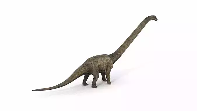 Diplodocus