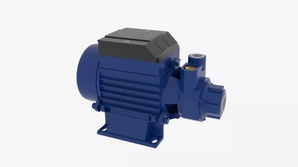 Half HP Electric Water Pump Low-poly 3D model_0