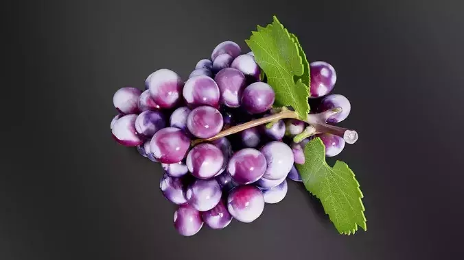 grape 01 3D print model 6