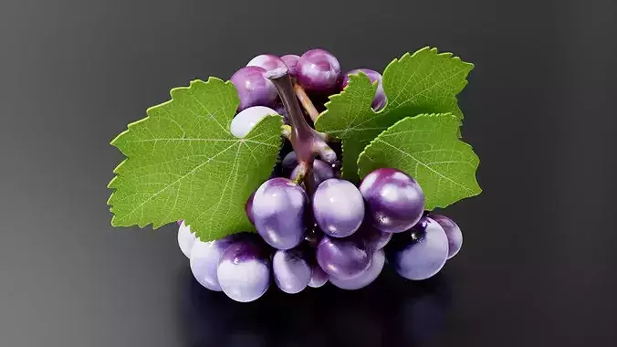 grape 01 3D print model 4