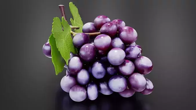 grape 01 3D print model 5
