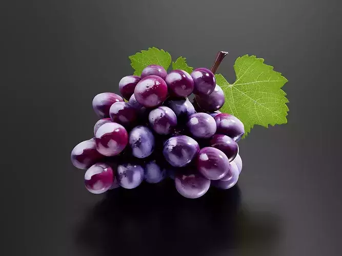 grape 01 3D print model