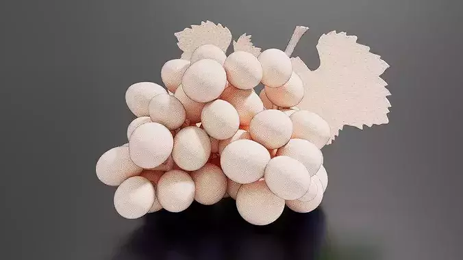 grape 01 3D print model 7
