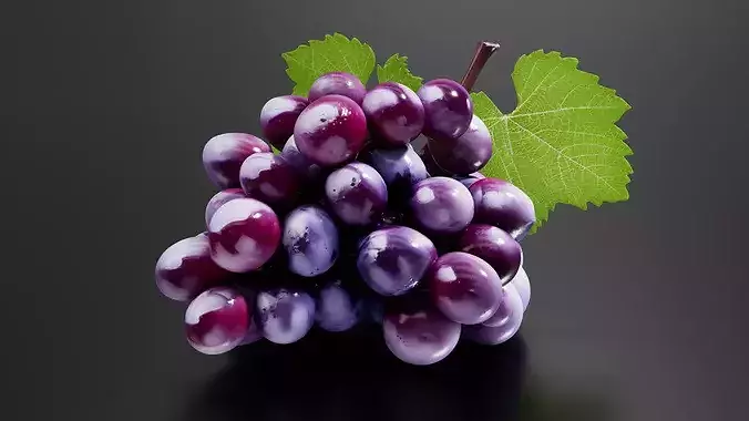 grape 01 3D print model 2