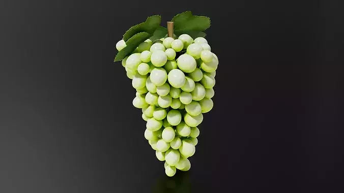 grape 02 3D print model 4