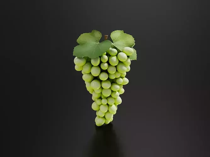grape 02 3D print model