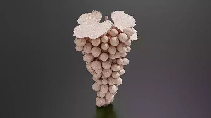 grape 02 3D print model 7