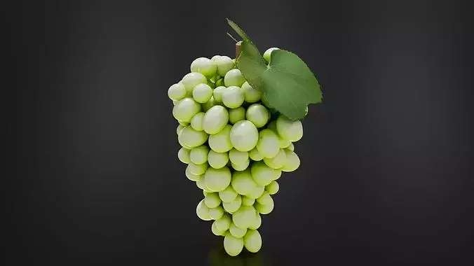 grape 02 3D print model 5