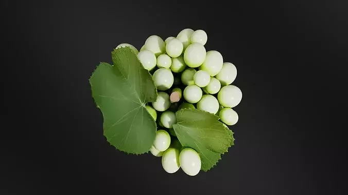 grape 02 3D print model 6