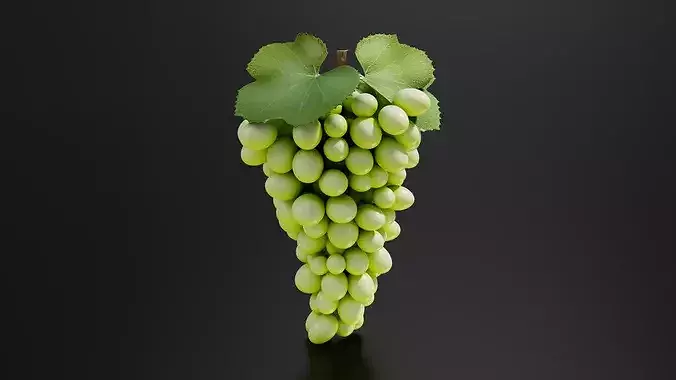 grape 02 3D print model 2