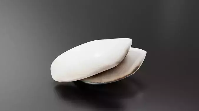 Greek Grilled Chicken Pitas 3D print model 4