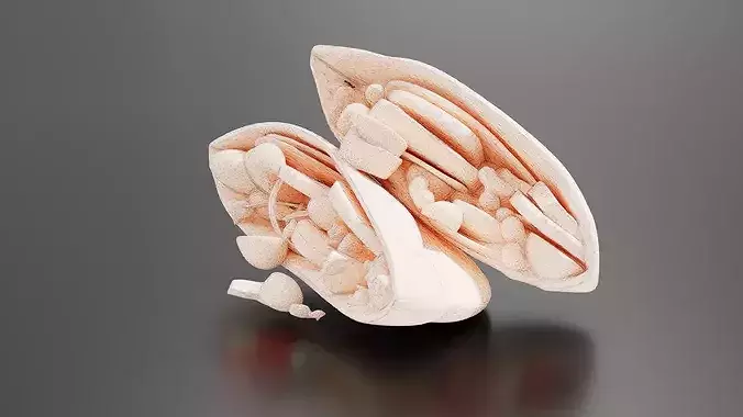 Greek Grilled Chicken Pitas 3D print model 7