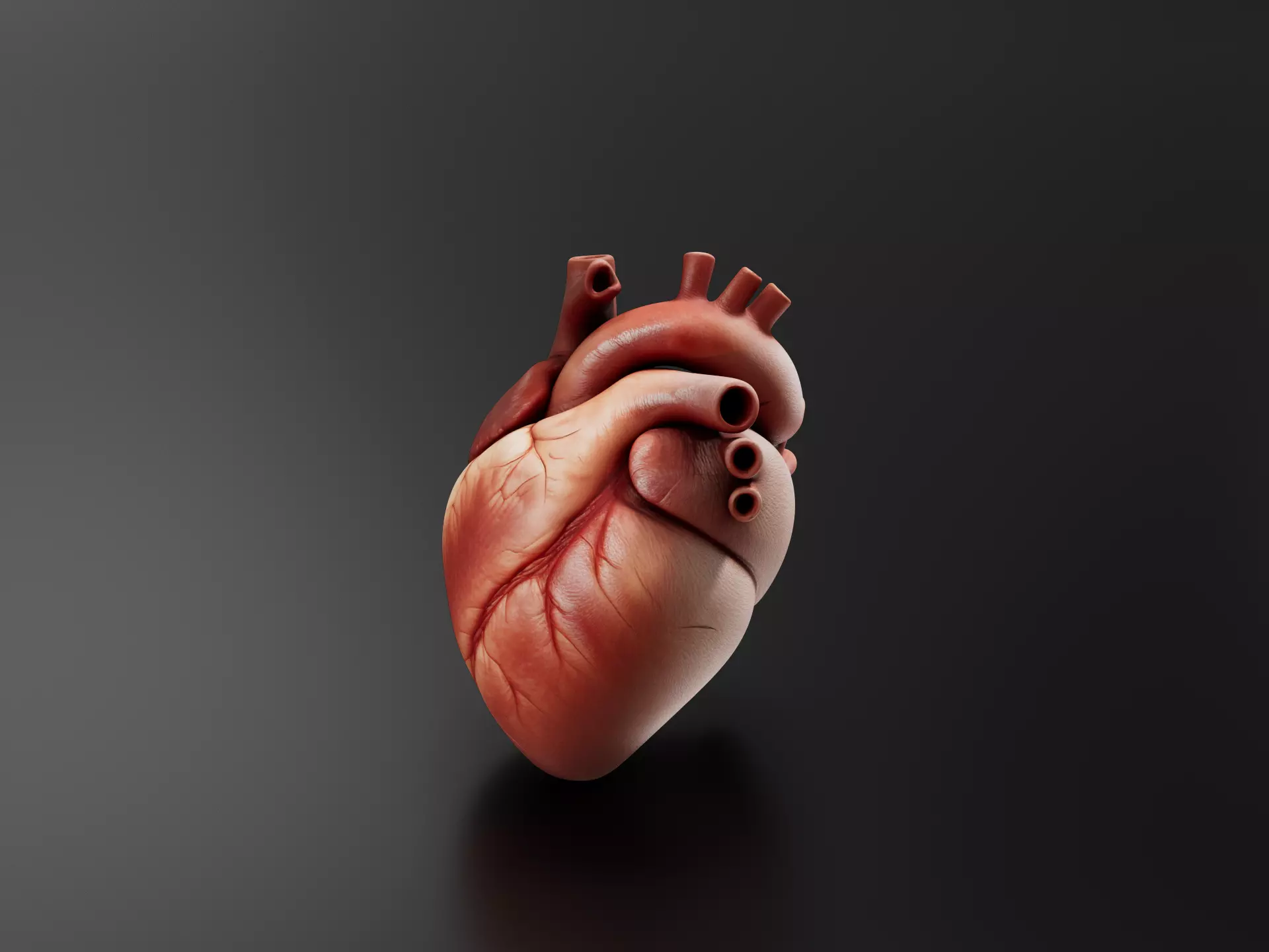 Heart 3D print model