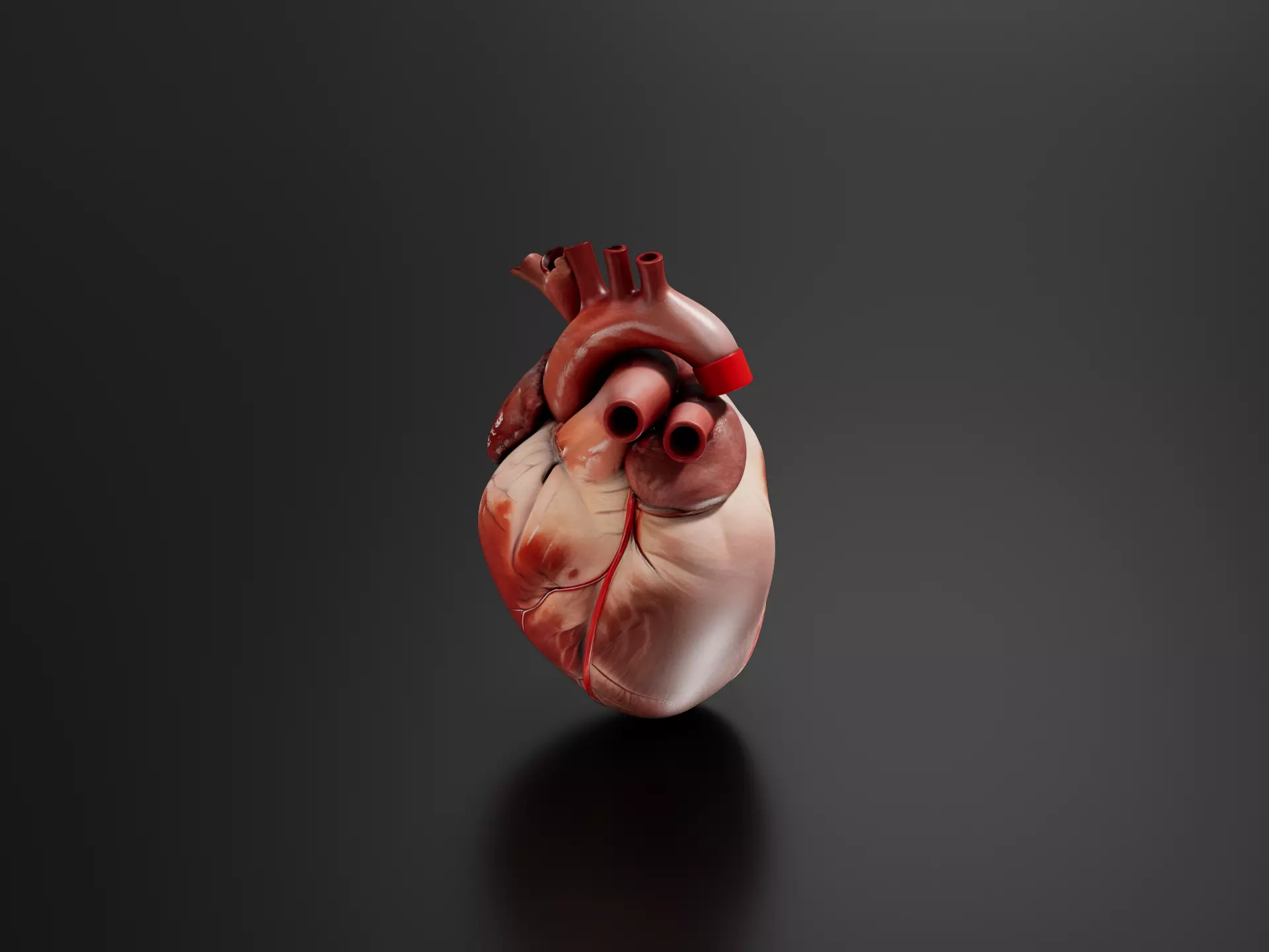 Heart 1 3D print model