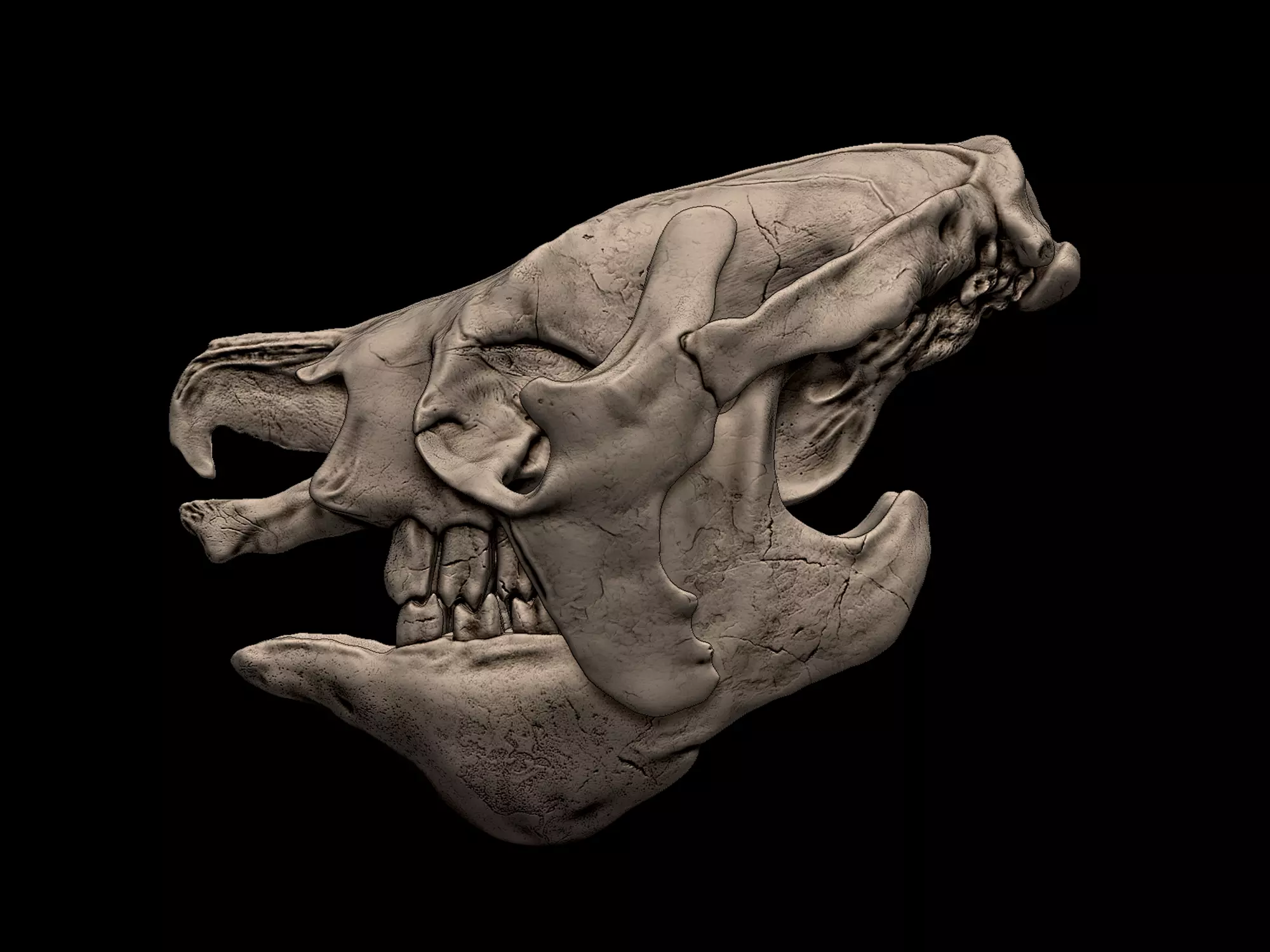 Megatheirum Skull 3D Print Model 3D print model