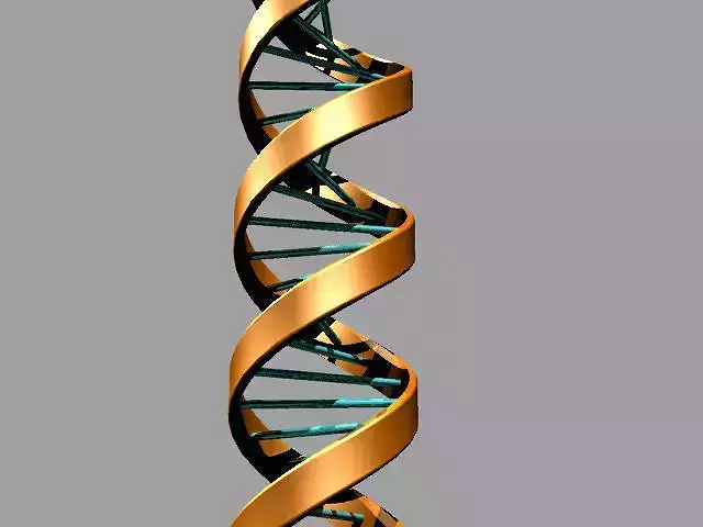 DNA - Double Helix Free 3D print model